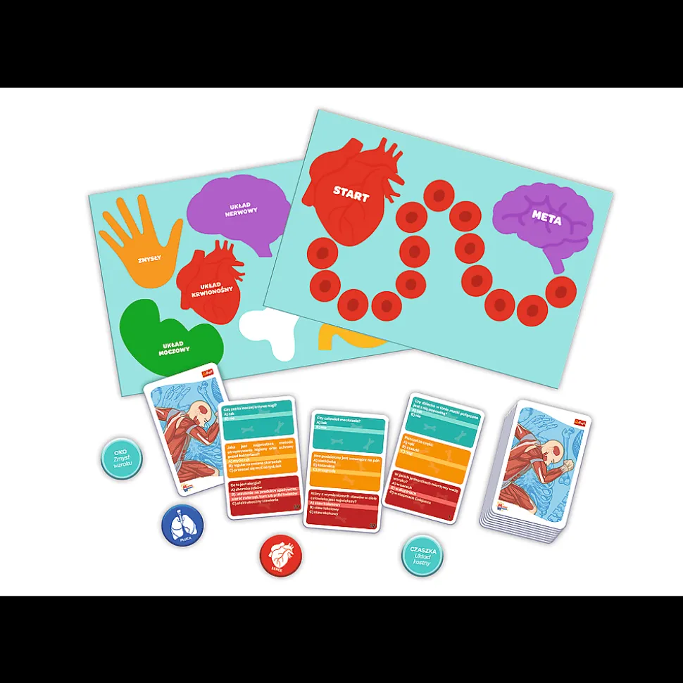 Gra dla dzieci Ciało człowieka Mistrz Wiedzy