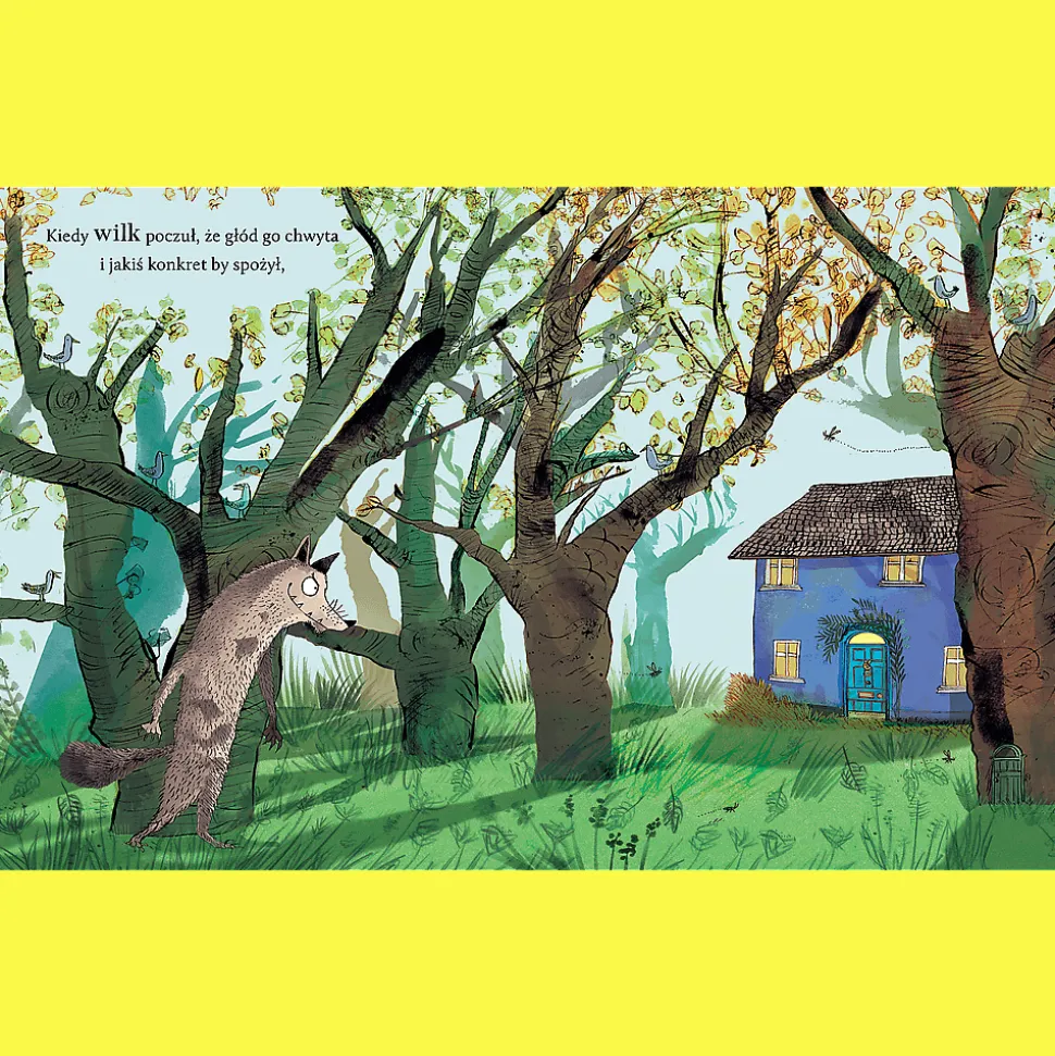 Książka Czerwony Kapturek i wilk