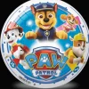 Piłka Psi Patrol 23 cm Ekipa