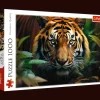 Puzzle 1000 el. Dziki tygrys