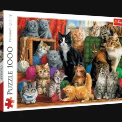 Puzzle 1000 el. Kocie spotkanie