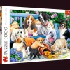Puzzle 1000 el. Psy w ogrodzie