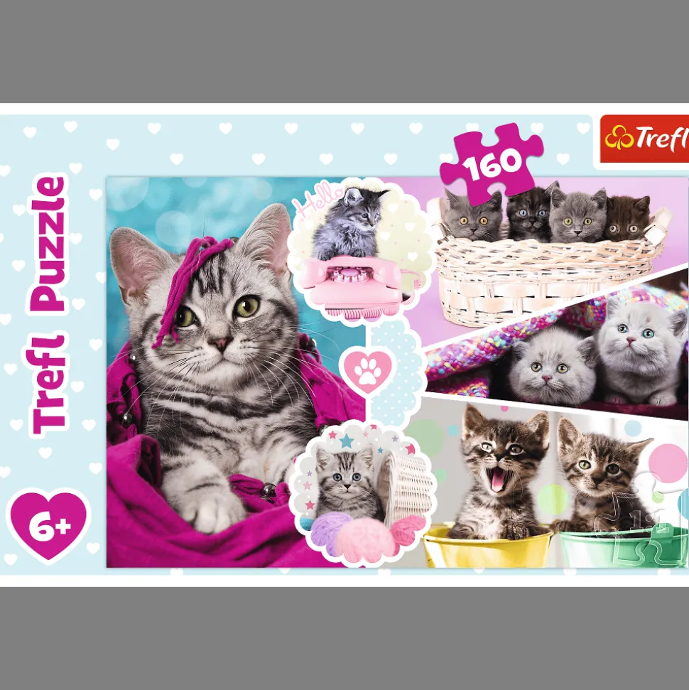 Puzzle 160 el. Urocze kotki