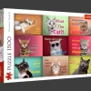 Puzzle 1500 el. Zabawne kocie portrety
