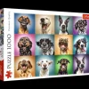 Puzzle 1000 el. Zabawne psie portrety