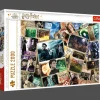 Puzzle Harry Potter 2000 el. Harry Potter - Bohaterowie