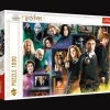 Puzzle Harry Potter 1000 el. Świat czarodziejów
