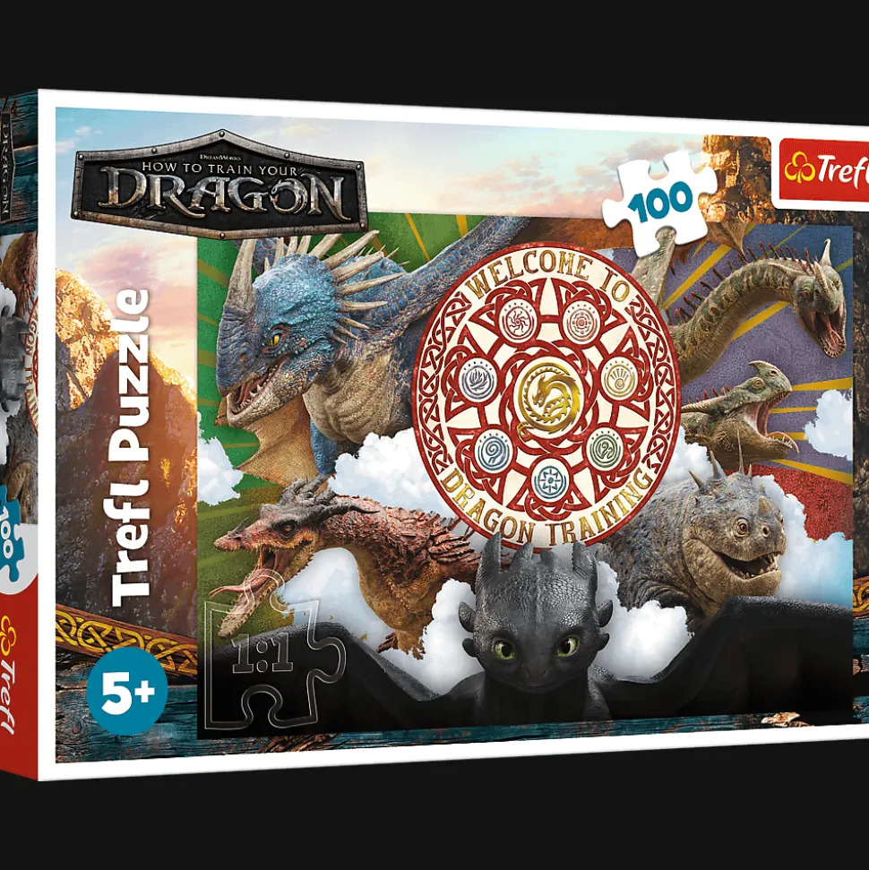 Puzzle Jak wytresować smoka 100 el. Smoki w akcji