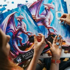 Puzzle Premium Plus Quality 1000 el. Fantasy Collection: Strażnik Skarbu