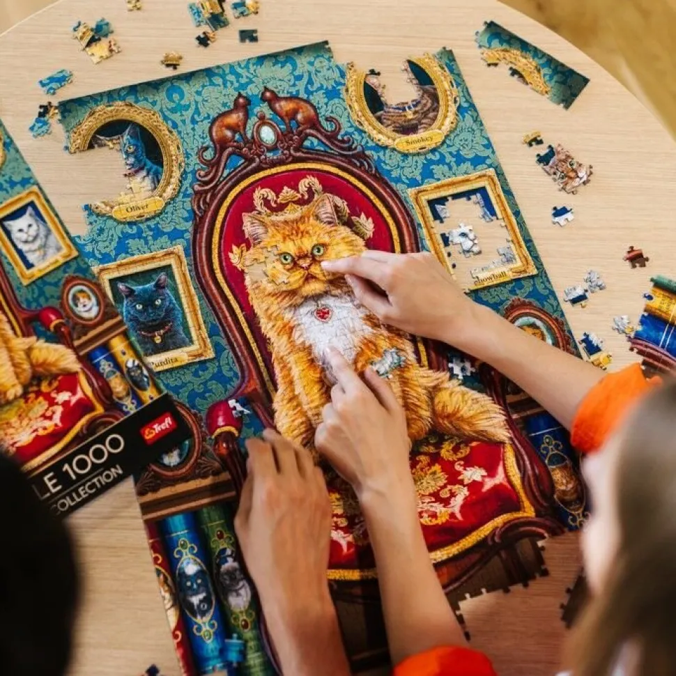 Puzzle Premium Plus Quality 1000 el. Magic Collection: Kotomania