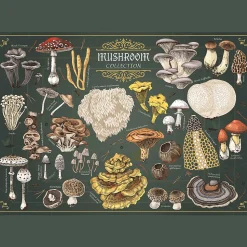 Puzzle Premium Plus Quality 500 el. Finders Keepers: Grzyby