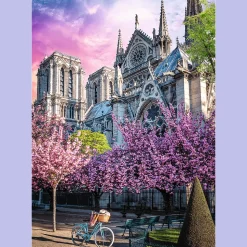 Puzzle Premium Plus Quality 1000 el. Photo Odyssey: Katedra Notre-Dame w Paryżu