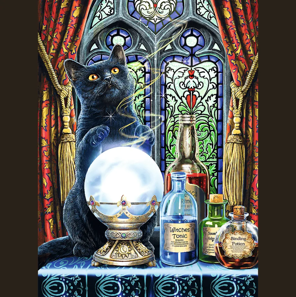 Puzzle Premium Plus Quality 1000 el. Magic Collection: Uczeń czarownicy