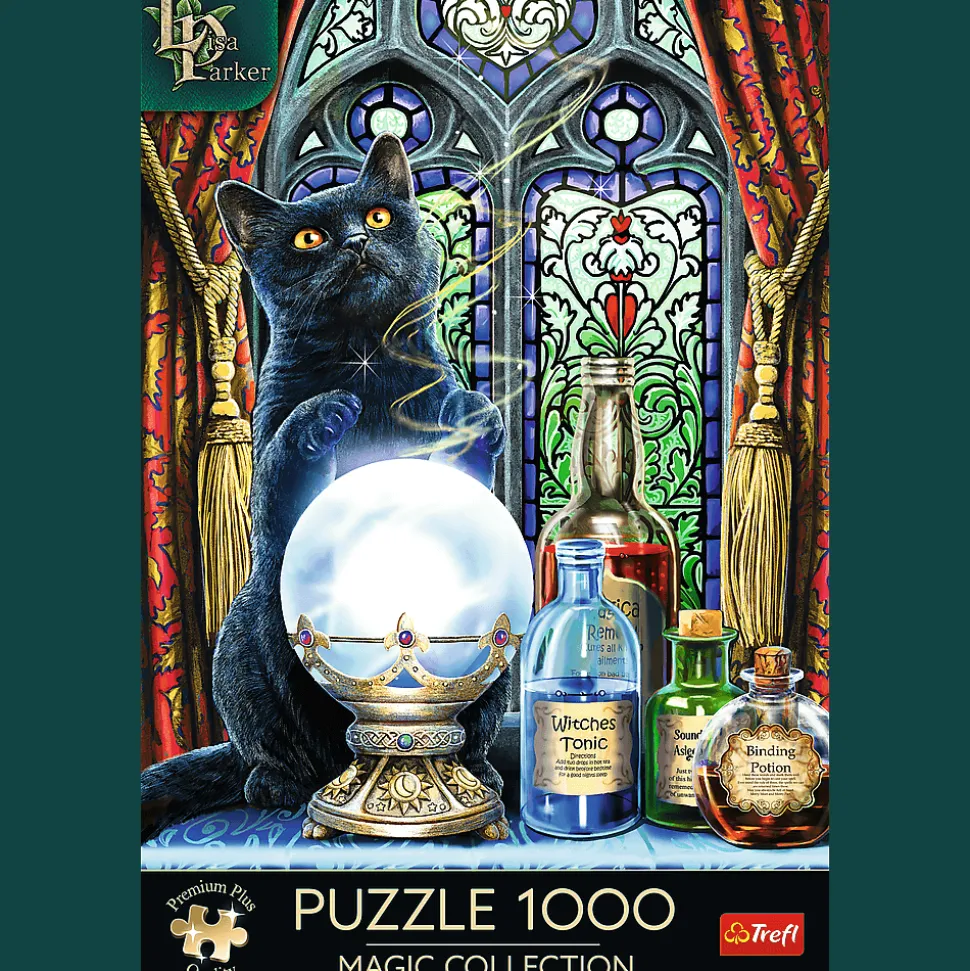 Puzzle Premium Plus Quality 1000 el. Magic Collection: Uczeń czarownicy