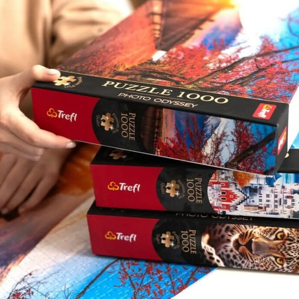 Puzzle Premium Plus Quality 1000 el. Photo Odyssey: Wieża Cesta, San Marino