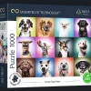 Puzzle Prime 1000 el. Funny Dogs Faces
