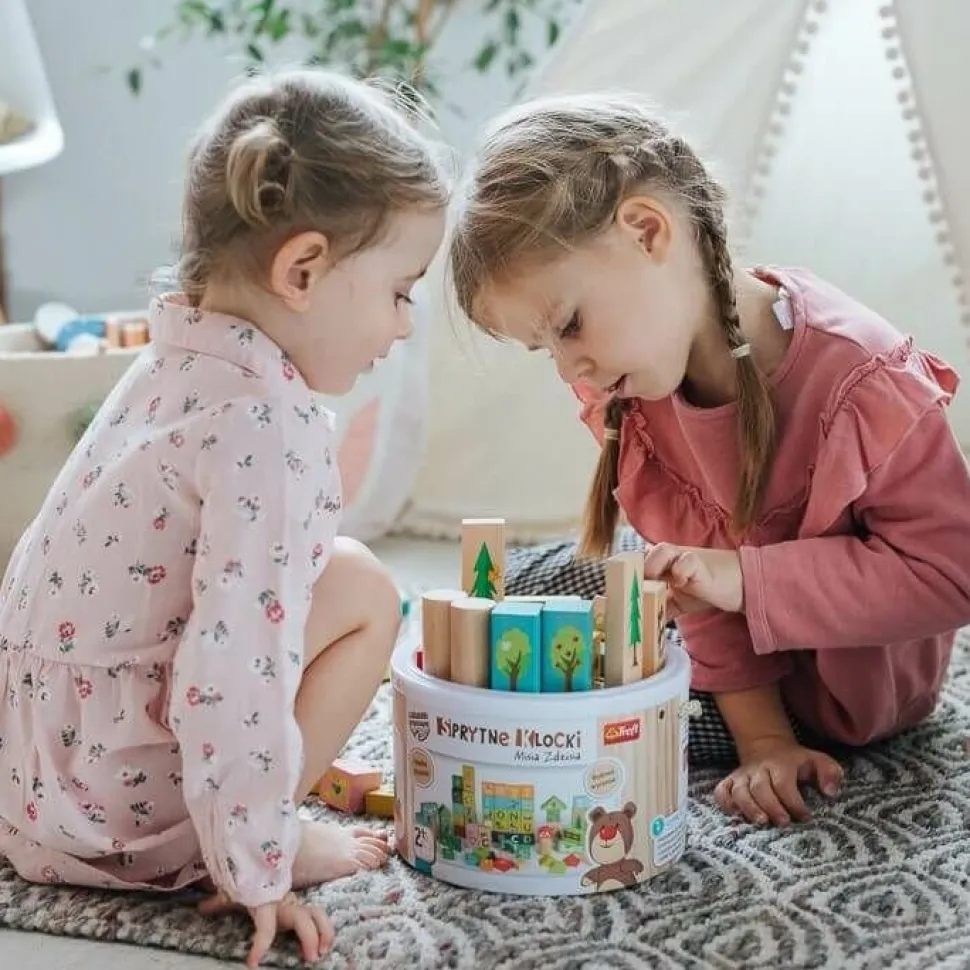 Sprytne klocki Misia Zdzisia