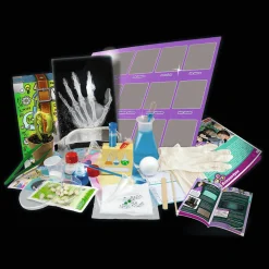 Zestaw naukowy Kobiety w świecie nauki