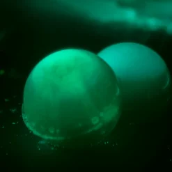 Zestaw naukowy Science4you, Fabryka Glutożelków