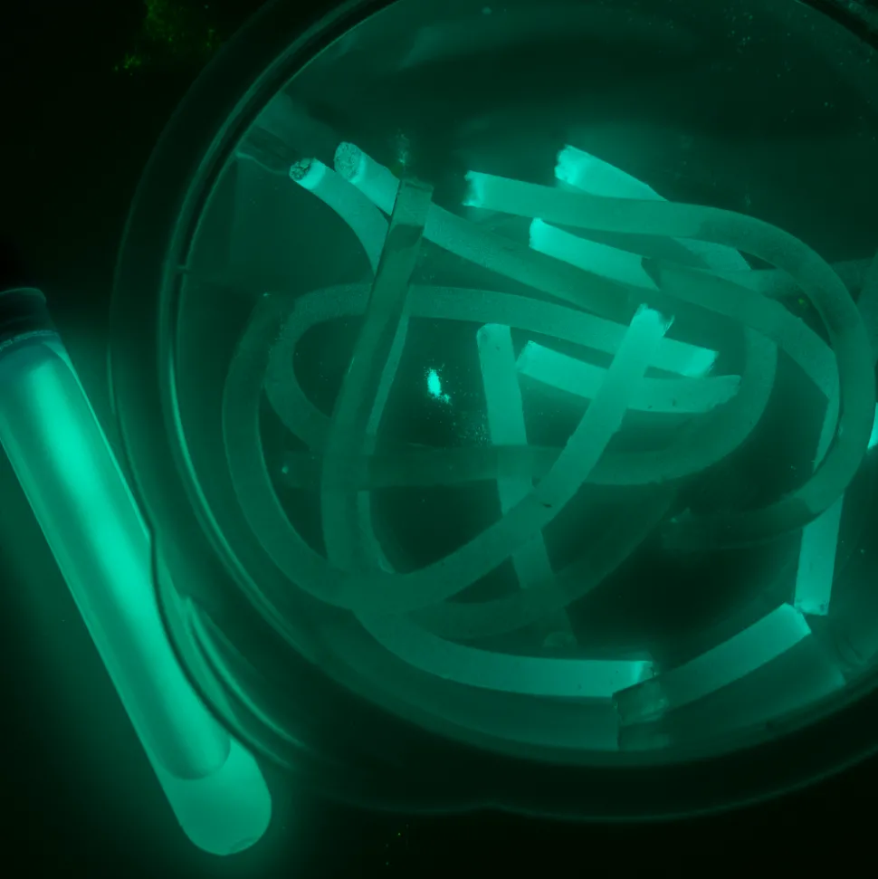 Zestaw naukowy Science4you, Fabryka Glutożelków