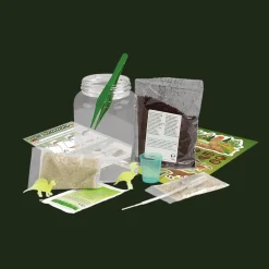 Zestaw naukowy Terrarium dinozaura